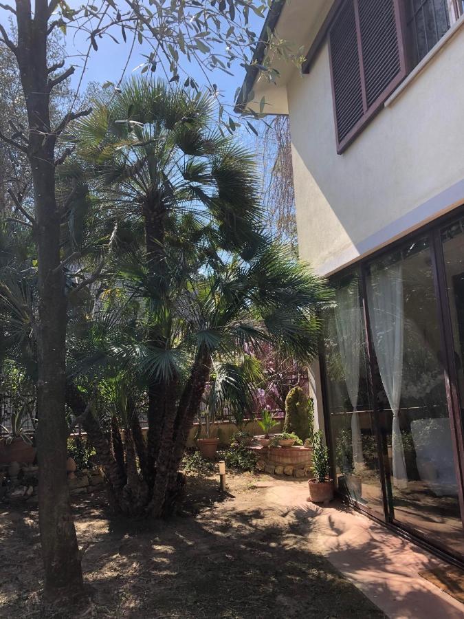 La Villa Bianca - Appartamento In Villa Sesto Fiorentino Luaran gambar