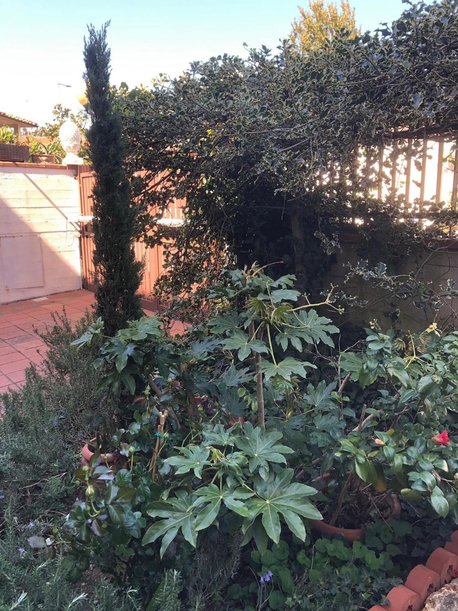 La Villa Bianca - Appartamento In Villa Sesto Fiorentino Luaran gambar
