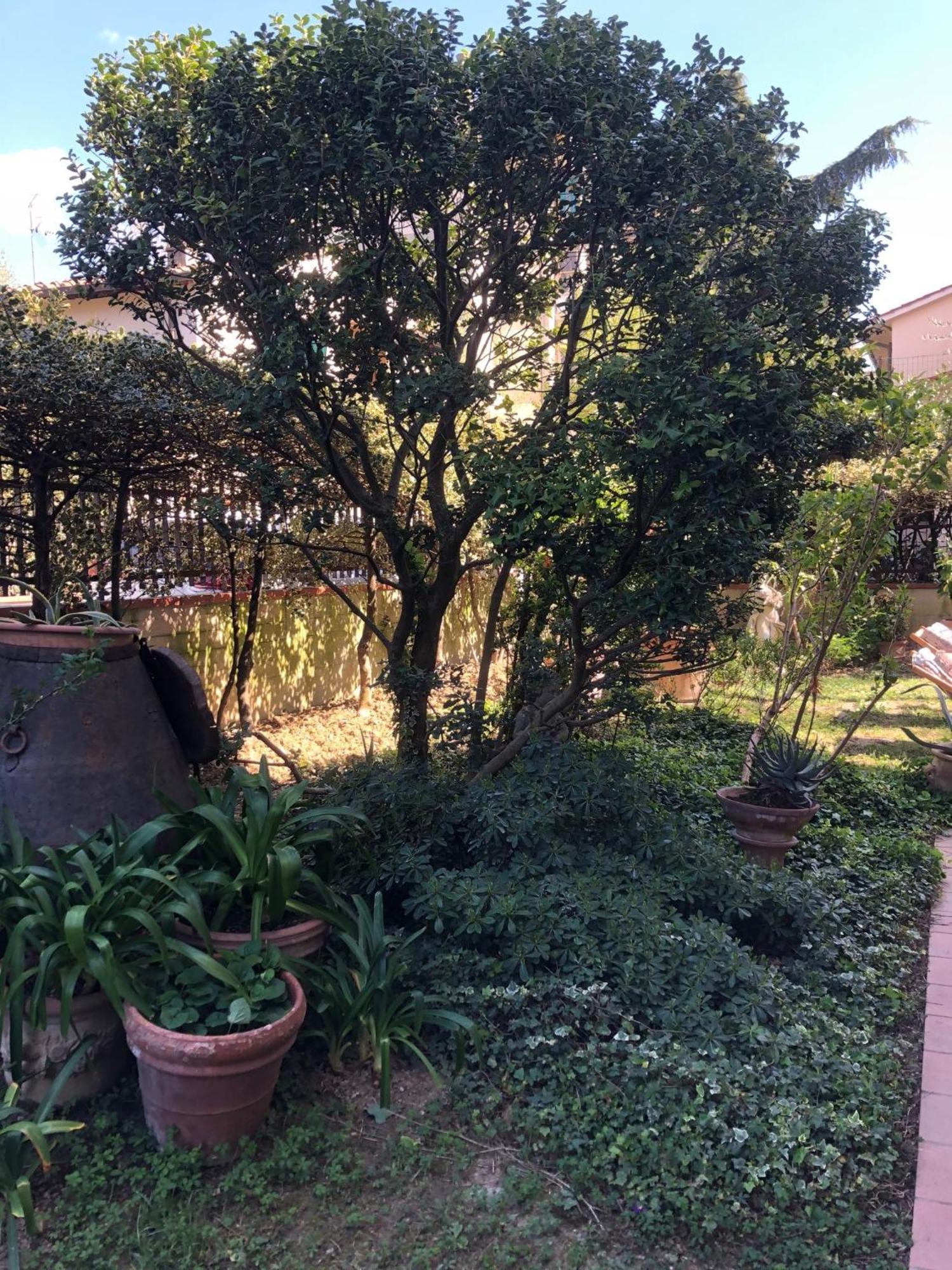 La Villa Bianca - Appartamento In Villa Sesto Fiorentino Luaran gambar